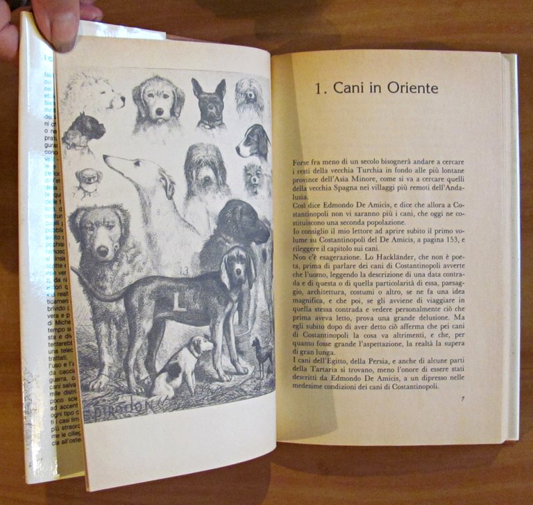 I CANI nella scienza, nella storia, nella leggenda..., I ed. …