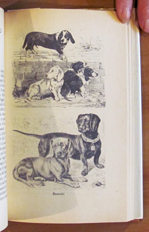 I CANI nella scienza, nella storia, nella leggenda..., I ed. …