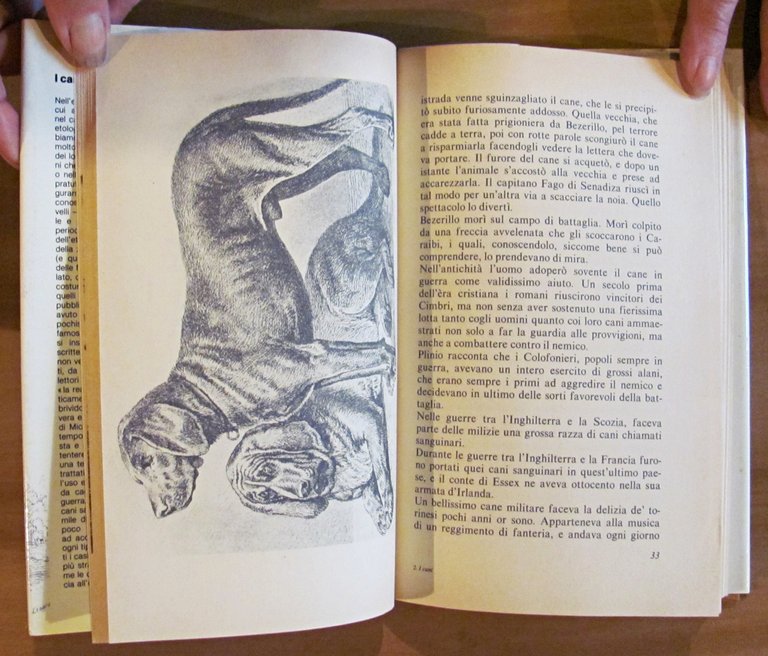 I CANI nella scienza, nella storia, nella leggenda..., I ed. …