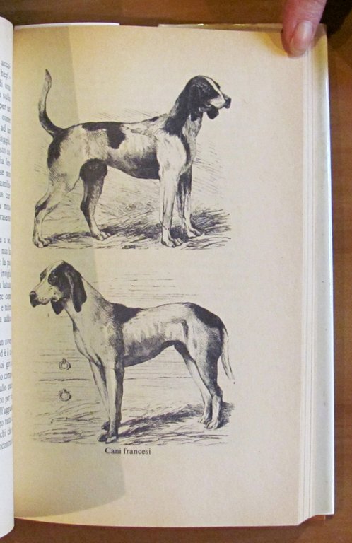 I CANI nella scienza, nella storia, nella leggenda..., I ed. …