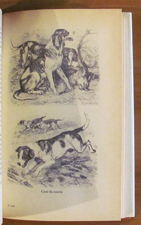 I CANI nella scienza, nella storia, nella leggenda..., I ed. …