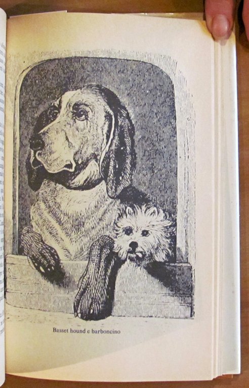 I CANI nella scienza, nella storia, nella leggenda..., I ed. …