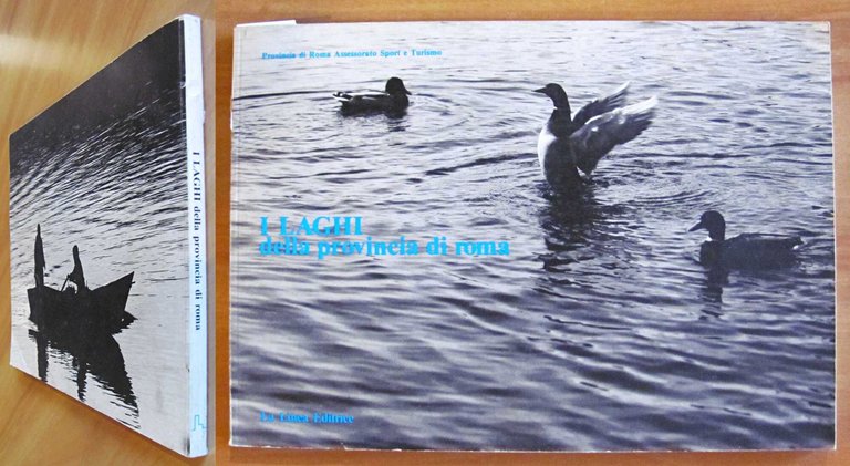 I LAGHI DELLA PROVINCIA DI ROMA, 1986 | Immagine Gallery 3