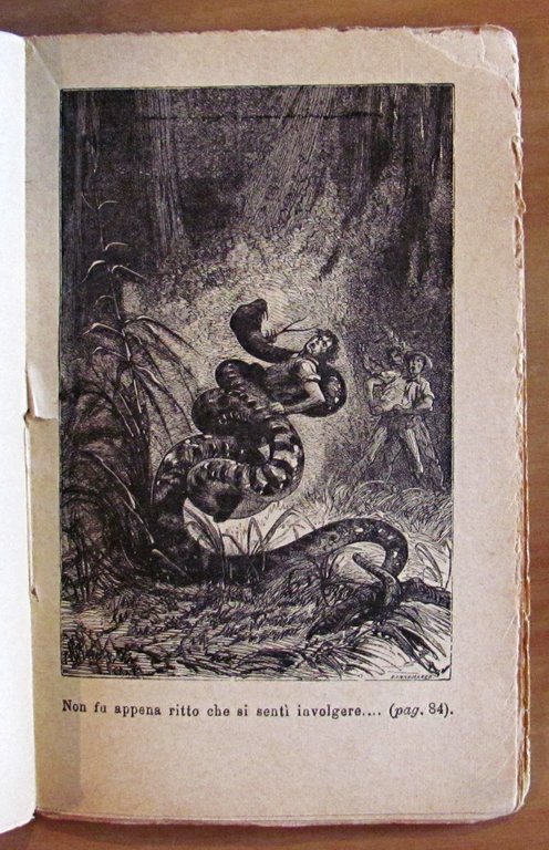 I NAUFRAGHI DELL'ISOLA BORNEO - 2 Volumi Completo, 1894