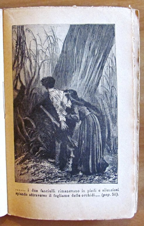 I NAUFRAGHI DELL'ISOLA BORNEO - 2 Volumi Completo, 1894