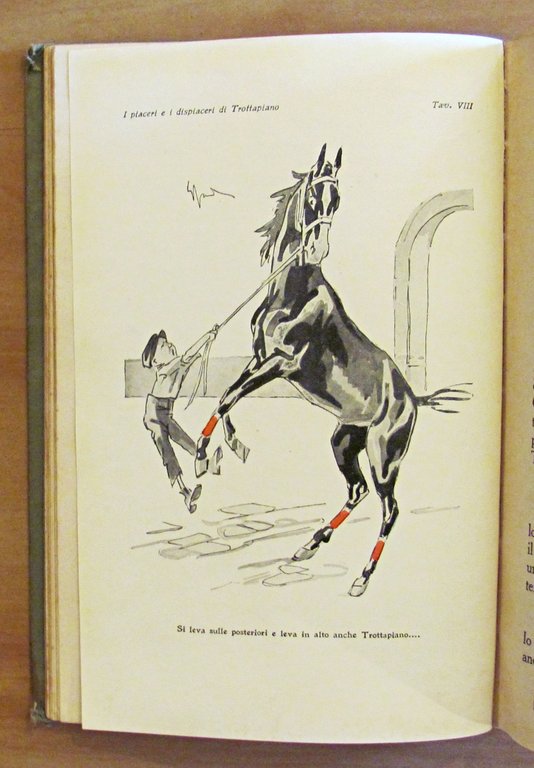 I PIACERI E I DISPIACERI DI TROTTAPIANO - Collana BIBLIOTECA …