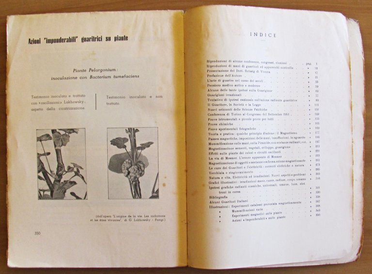 I PRODIGI DELLE MANI CHE RIDONANO SALUTE E GIOVINEZZA, 1952 …