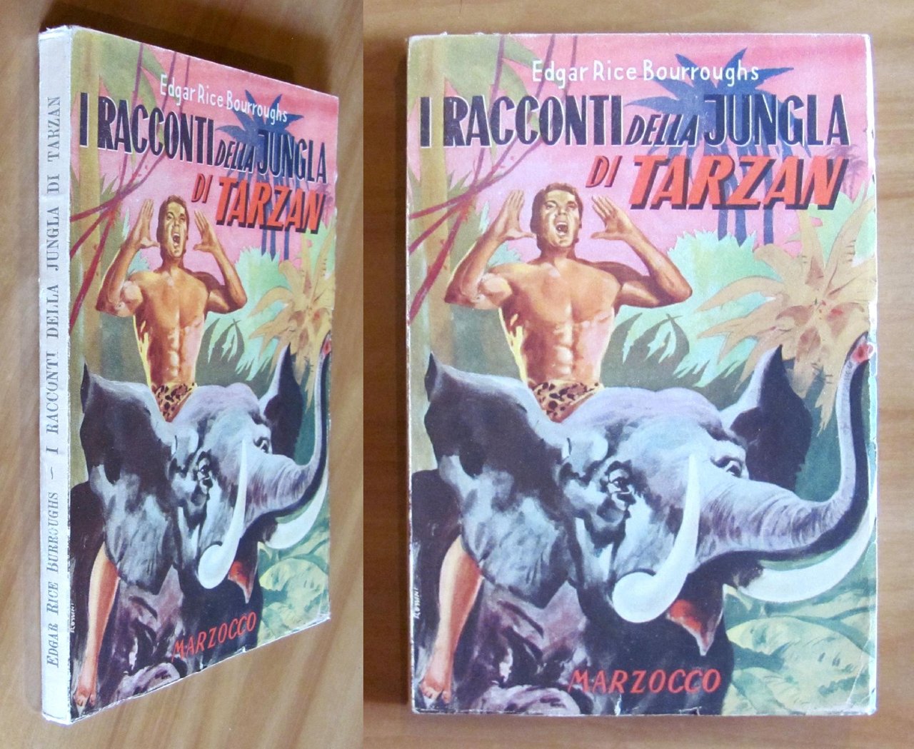 I RACCONTI DELLA JUNGLA DI TARZAN