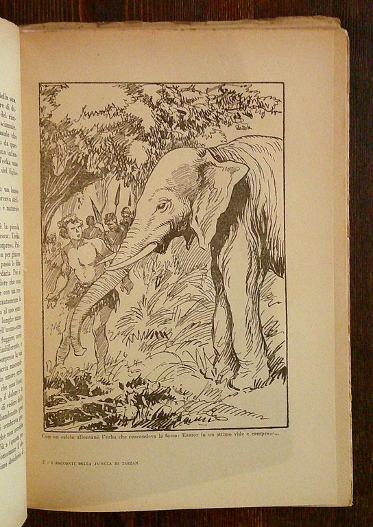 I RACCONTI DELLA JUNGLA DI TARZAN, 1935 - ill. NATOLI