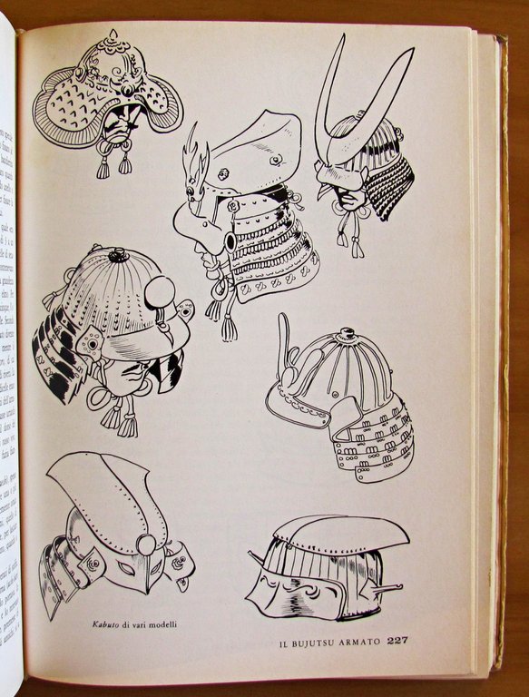 I SEGRETI DEI SAMURAI - Le antiche arti marziali