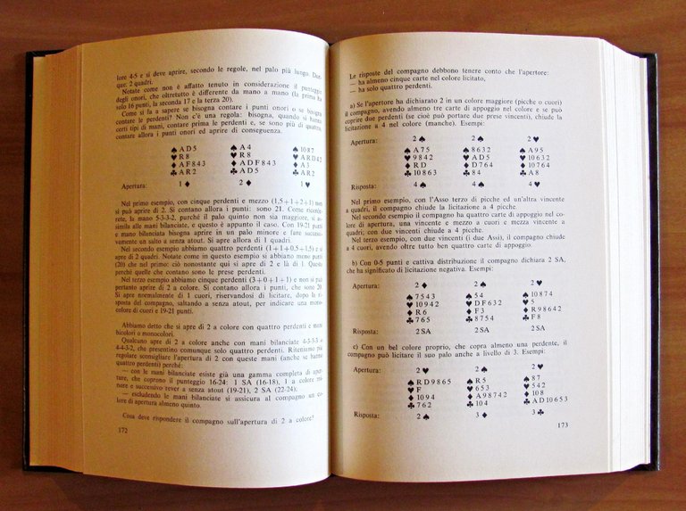 IL BRIDGE NATURALE - corso autodidattico