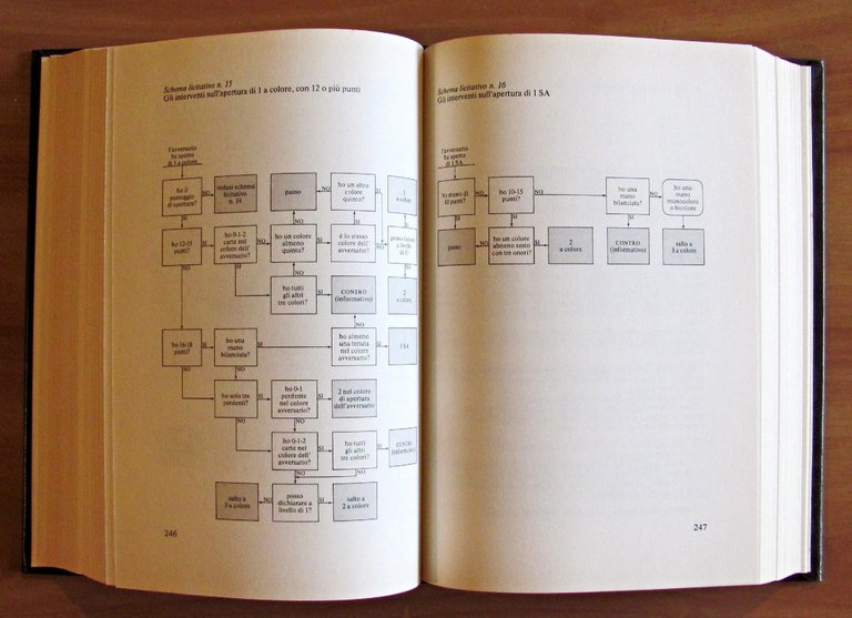 IL BRIDGE NATURALE - corso autodidattico