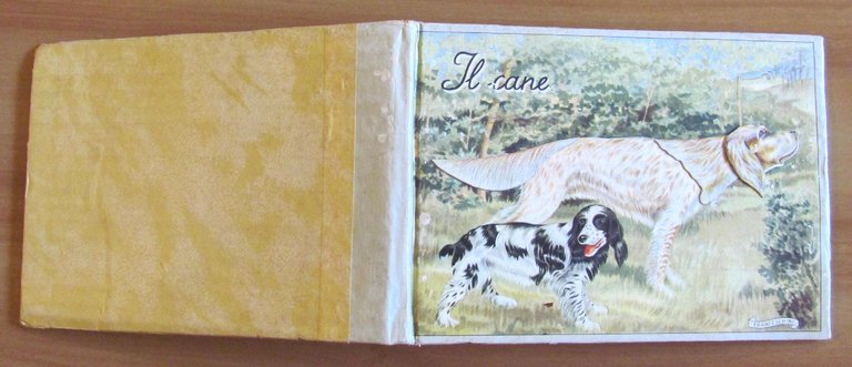 IL CANE - Collezione Animali Domestici e Selvatici, 1949