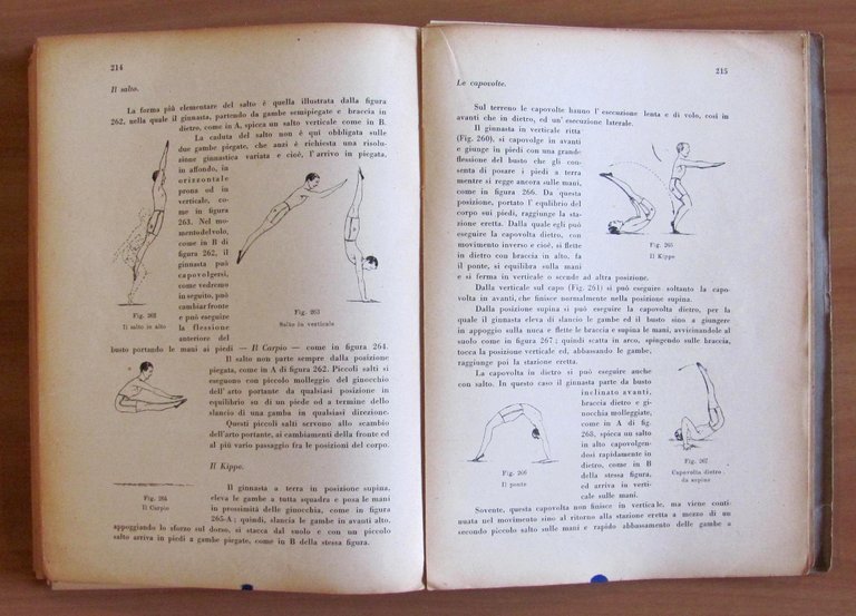 IL CAPOSQUADRA - Guida Teorico - Pratica dell'Istruttore di Ginnastica …