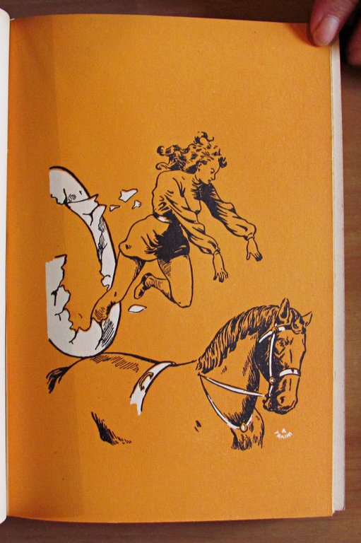 IL CIRCO SAMPSON - Collana Lucilla Libri per Ragazzi - …