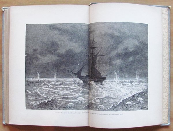 IL CONTINENTE MISTERIOSO - Avventure nell'Australia