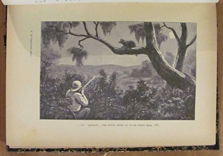 IL CONTINENTE MISTERIOSO, 1906 - ill. CARPANETTO