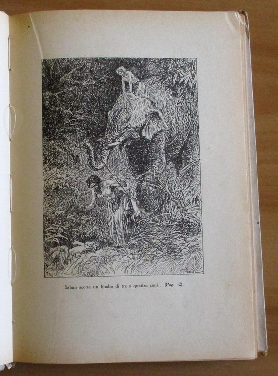 IL FIGLIOCCIO DELL'ELEFANTE