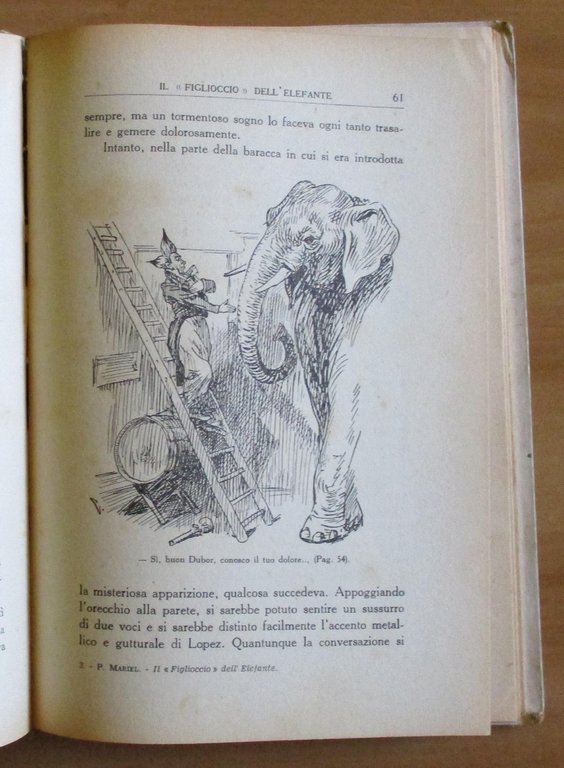 IL FIGLIOCCIO DELL'ELEFANTE