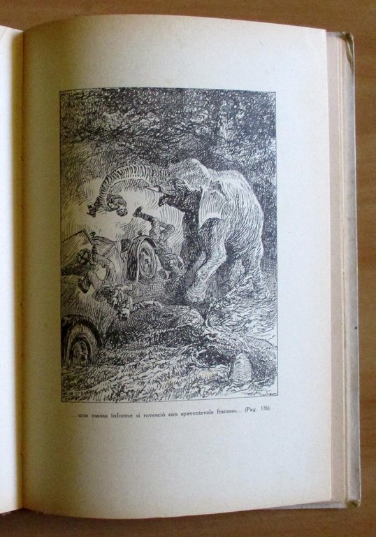 IL FIGLIOCCIO DELL'ELEFANTE