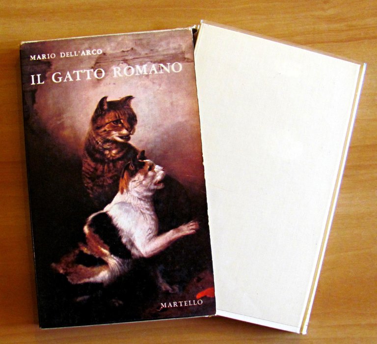 IL GATTO ROMANO