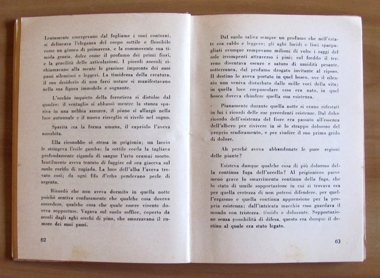 IL GUARDIANO DELLA VALLE DEI MORTI - Romanzo Occulto