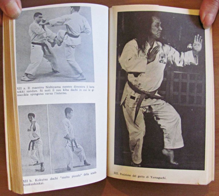 IL KARATE MODERNO - Evoluzione di un'Arte Marziale, 1974 | Immagine Gallery 3