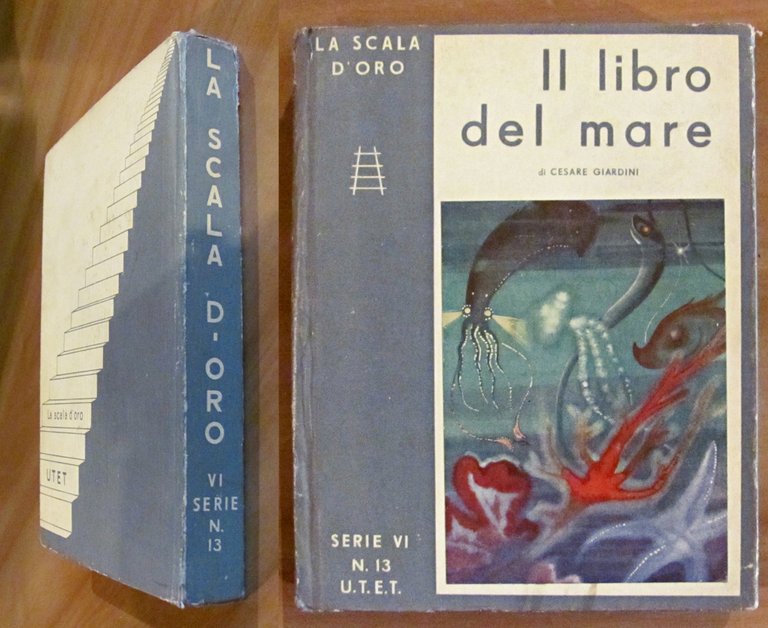 IL LIBRO DEL MARE - Storia, vita e leggende - …