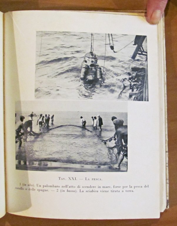 IL LIBRO DEL MARE - Storia, vita e leggende - …