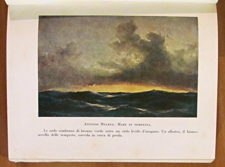 IL LIBRO DEL MARE - Storia, vita e leggende - …