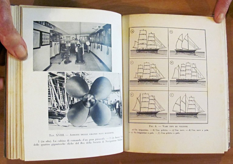 IL LIBRO DEL MARE - Storia, vita e leggende - …