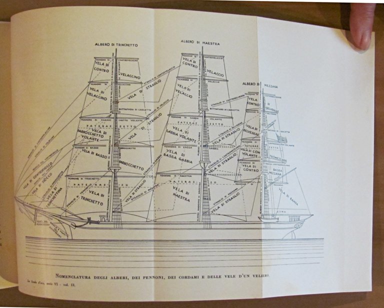 IL LIBRO DEL MARE - Storia, vita e leggende - …