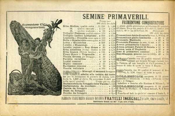 Il Mezzogiorno Agricolo - Anno II Fasc. 3 - 4 …
