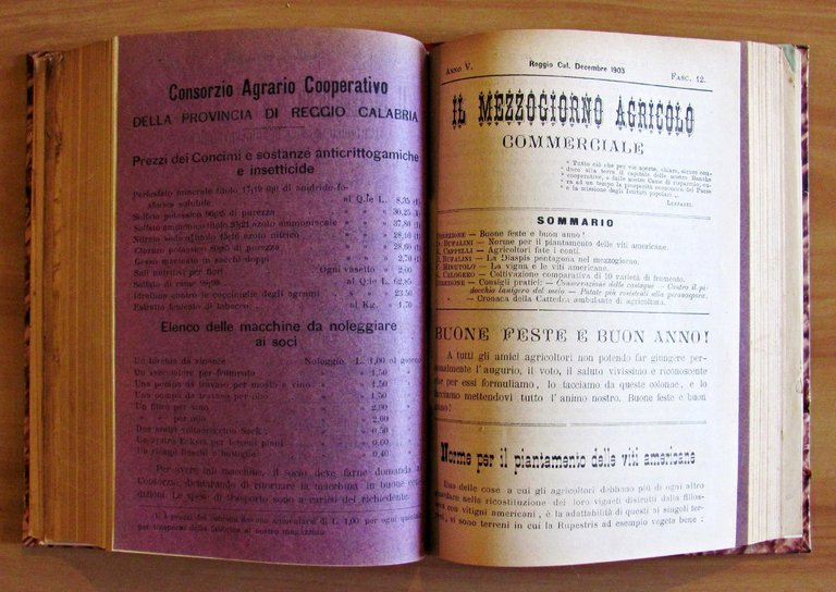 Il Mezzogiorno Agricolo - Anno II Fasc. 3 - 4 …