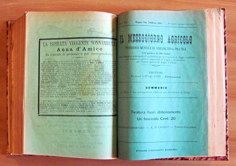 Il Mezzogiorno Agricolo - Anno II Fasc. 3 - 4 …