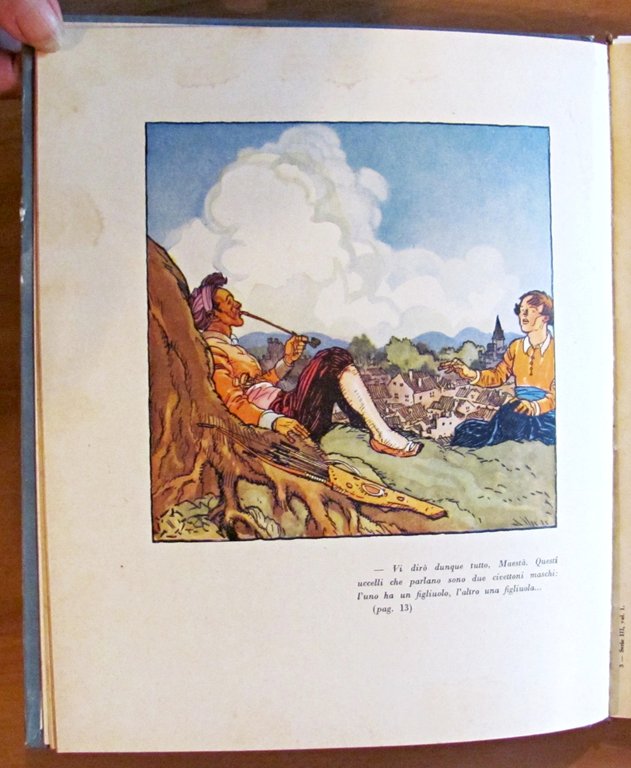 IL MIO NOVELLIERE - Novelle e Racconti di Vari Autori …