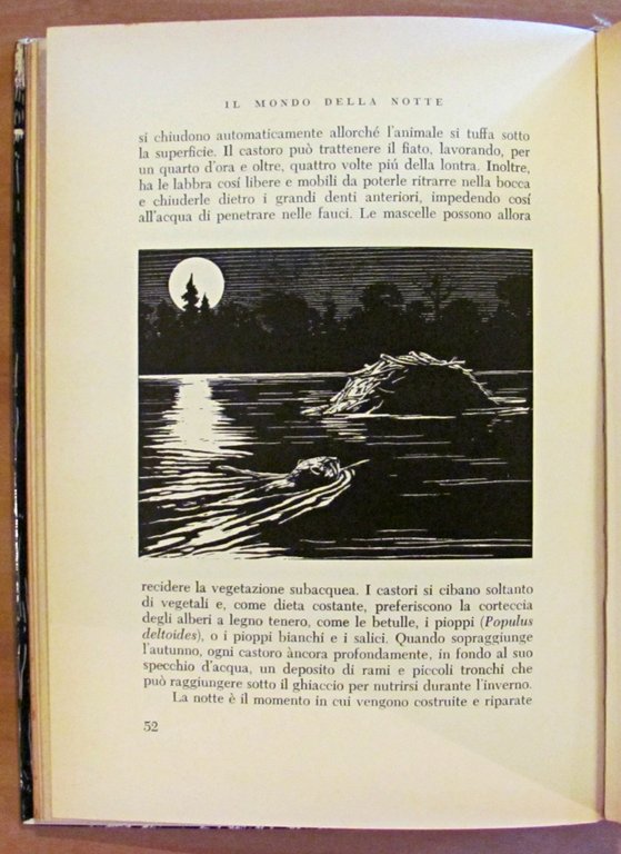 IL MONDO DELLA NOTTE - Illustrazioni di T. M. Shortt