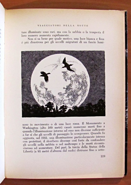 IL MONDO DELLA NOTTE - Illustrazioni di T. M. Shortt