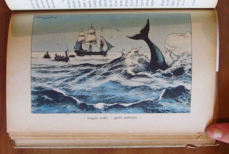 IL MOSTRO BIANCO - Moby Dick