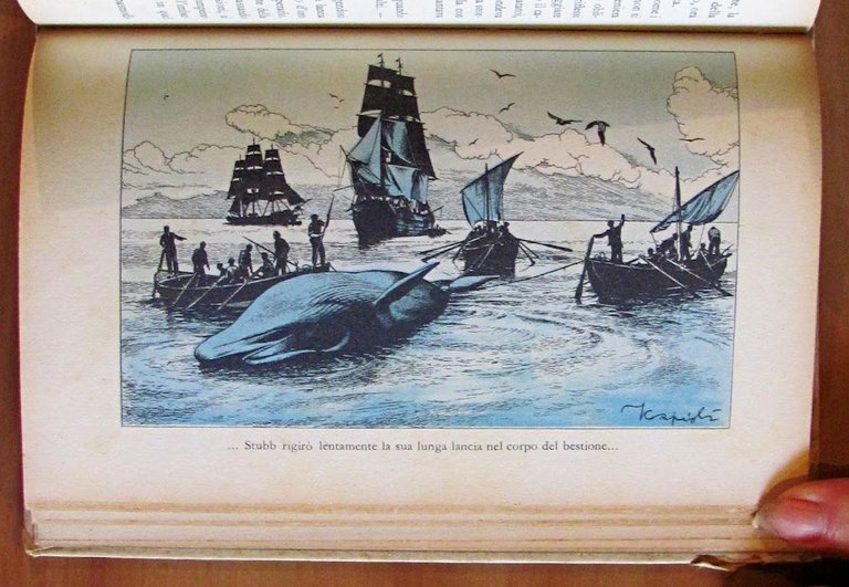 IL MOSTRO BIANCO - Moby Dick