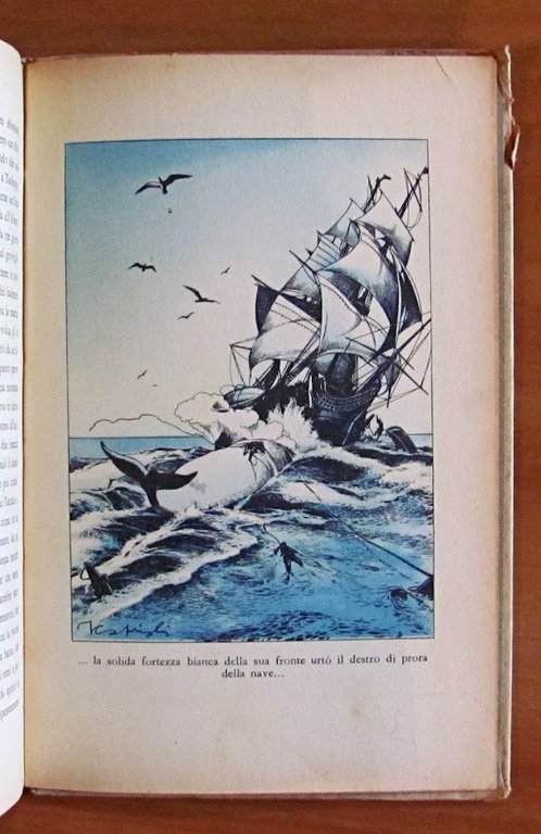 IL MOSTRO BIANCO - Moby Dick