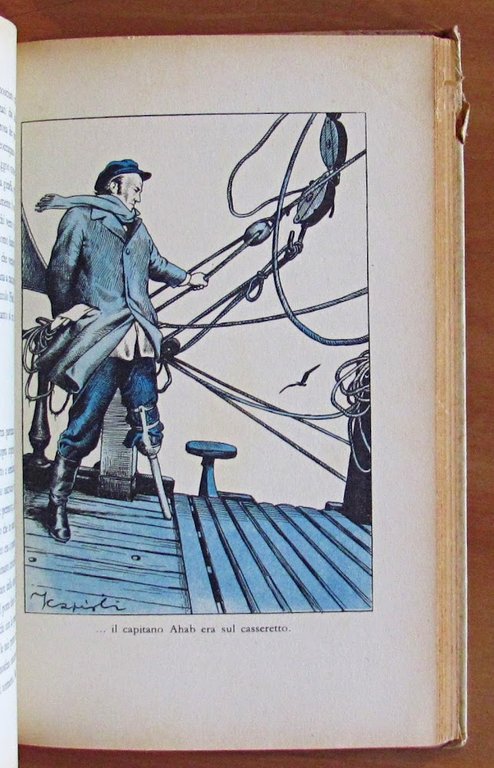 IL MOSTRO BIANCO - Moby Dick
