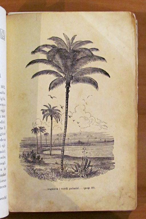 IL NUOVO ROBINSON CROSUE DEI GIOVINETTI ITALIANI