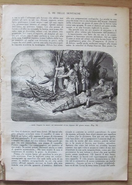IL RE DELLE MONTAGNE