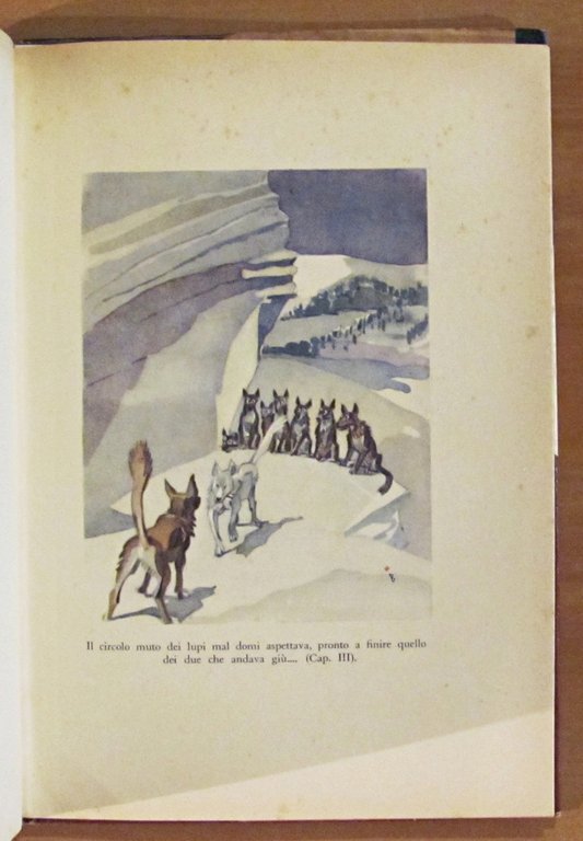 IL RICHIAMO DELLA FORESTA, 1954 con sovraccoperta - ill. BERNARDINI
