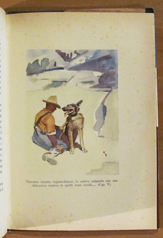 IL RICHIAMO DELLA FORESTA, 1954 con sovraccoperta - ill. BERNARDINI