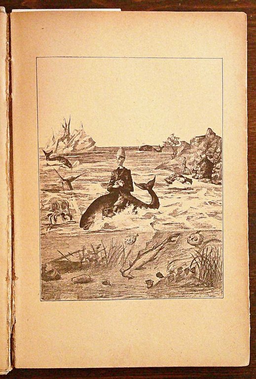 IL SEGRETO DI PINOCCHIO - Biblioteca Bemporad per i Ragazzi, …