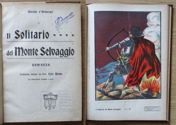 IL SOLITARIO DEL MONTE SELVAGGIO