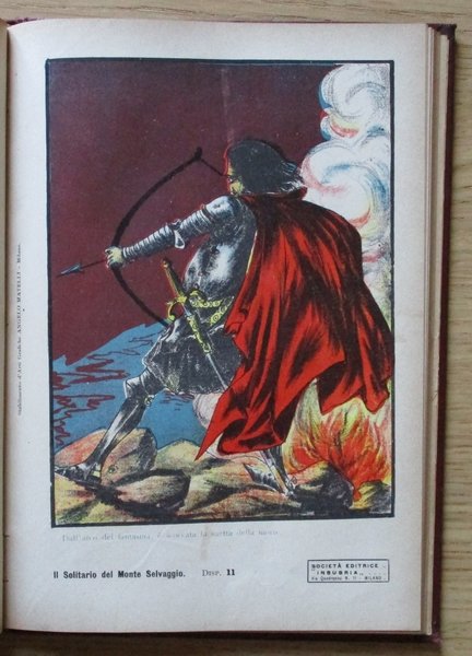 IL SOLITARIO DEL MONTE SELVAGGIO