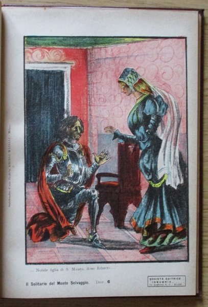 IL SOLITARIO DEL MONTE SELVAGGIO